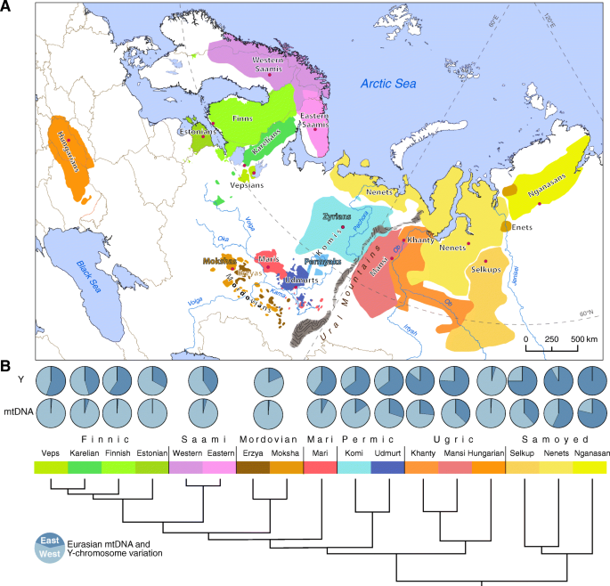 Genes reveal traces of common recent demographic history for most of the  Uralic-speaking populations | Genome Biology | Full Text