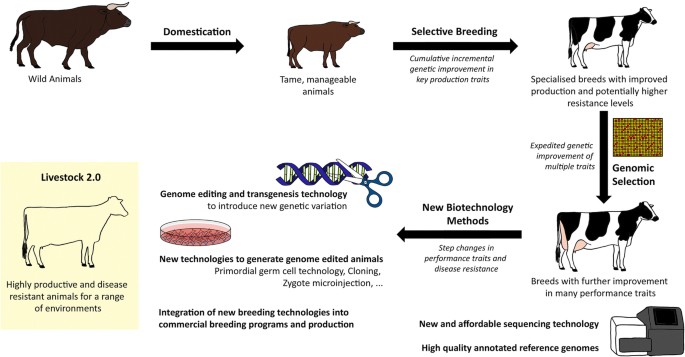 Livestock  – genome editing for fitter, healthier, and more productive  farmed animals | Genome Biology | Full Text