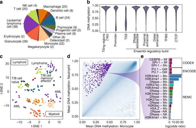Rnbeads 2 0 Comprehensive Analysis Of Dna Methylation Data Genome Biology Full Text