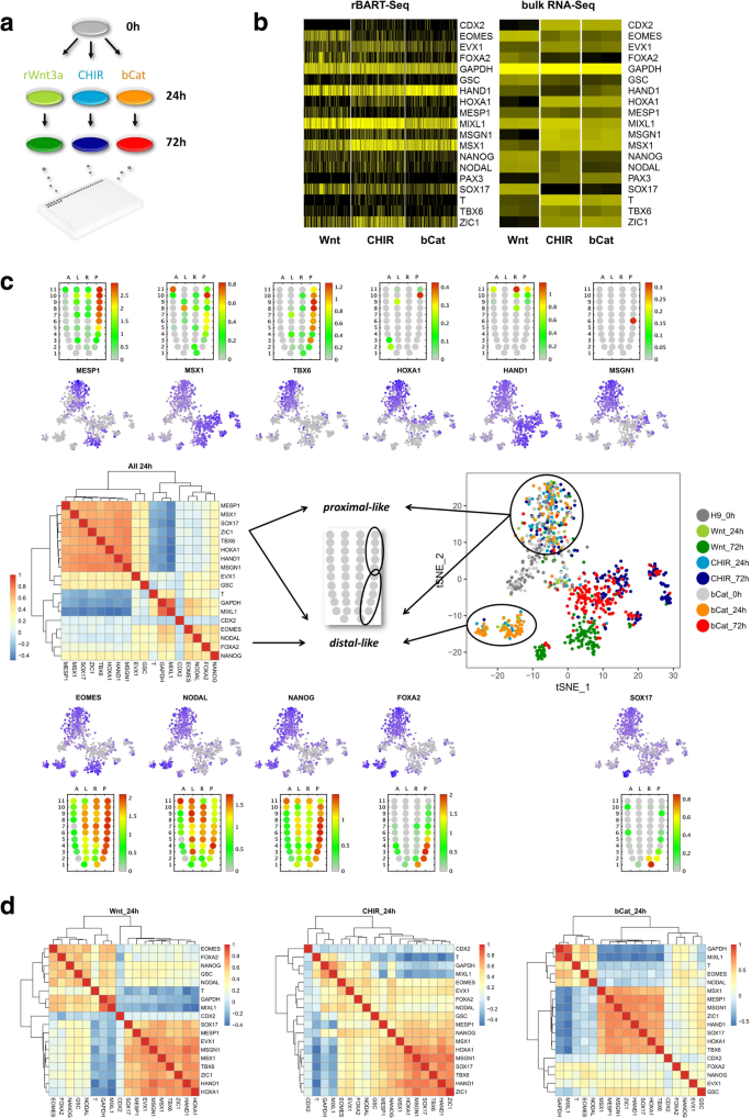 Bart Seq Cost Effective Massively Parallelized Targeted Sequencing For Genomics Transcriptomics And Single Cell Analysis Springerlink