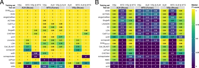 across brain datasets