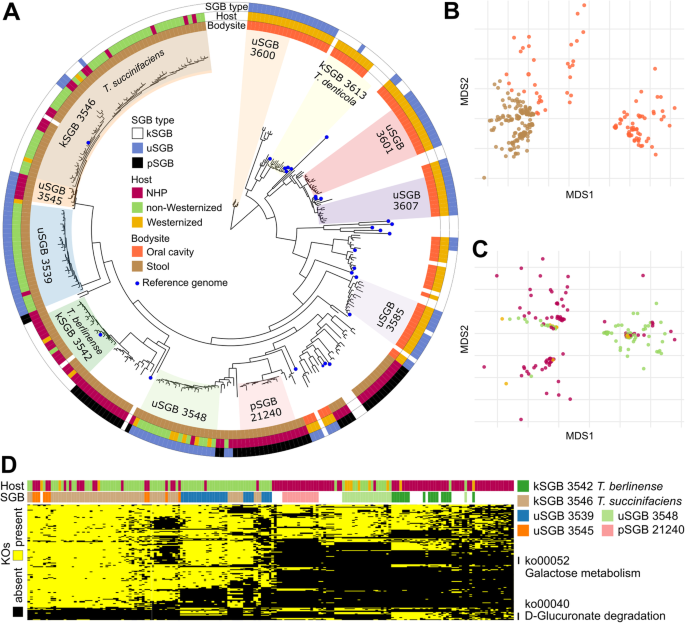 Microbial Genomes From Non Human Primate Gut Metagenomes Expand The Primate Associated Bacterial Tree Of Life With Over 1000 Novel Species Genome Biology Full Text