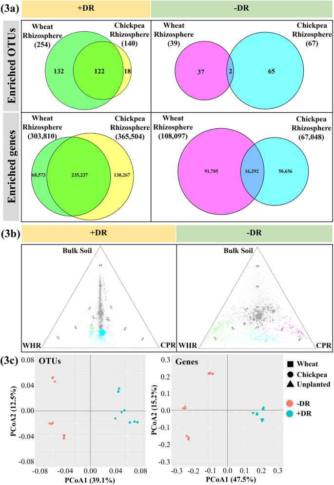 The Preceding Root System Drives The Composition And Function Of The Rhizosphere Microbiome Genome Biology Full Text The Preceding Root System Drives The Composition And Function Of The Rhizosphere Microbiome Genome Biology Full Text