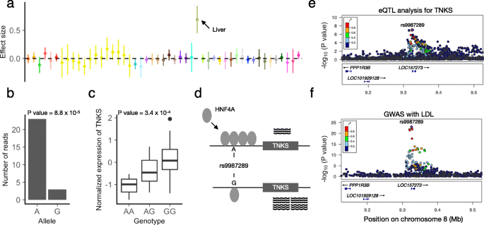 Sn Spmf Matrix Factorization Informs Tissue Specific Genetic Regulation Of Gene Expression Genome Biology Full Text