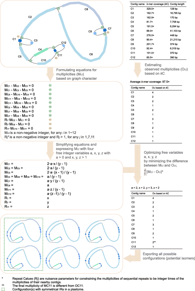 Getorganelle A Fast And Versatile Toolkit For Accurate De Novo Assembly Of Organelle Genomes Genome Biology Full Text