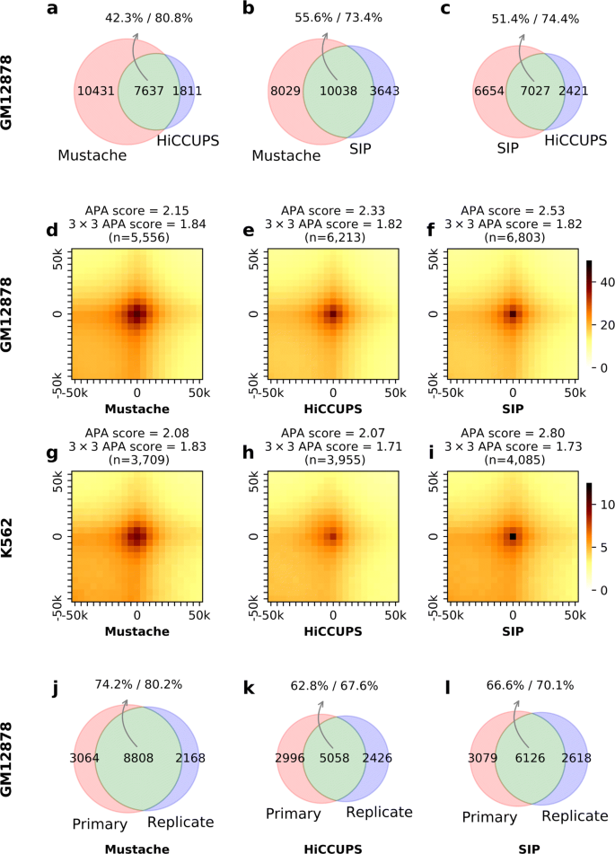 Mustache Multi Scale Detection Of Chromatin Loops From Hi C And Micro C Maps Using Scale Space Representation Genome Biology Full Text