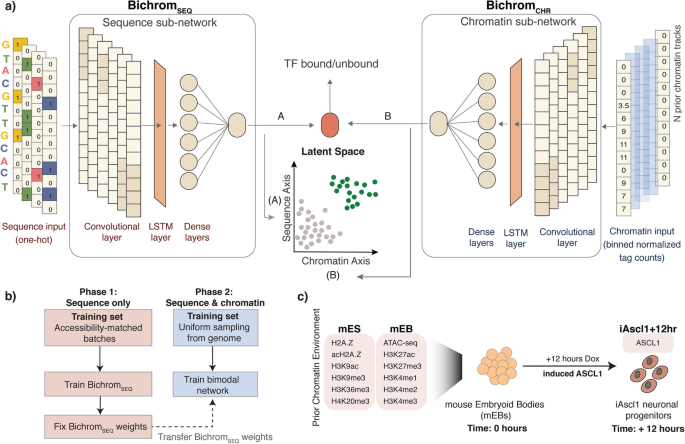 an interpretable bimodal neural network