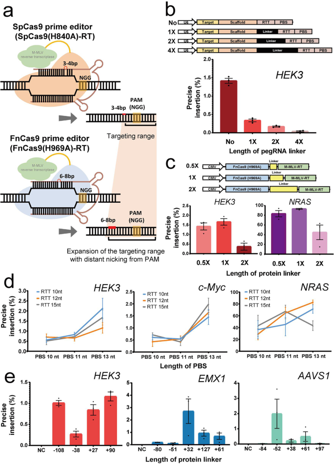 Expansion of the prime editing modality with Cas9 from Francisella novicida  | Genome Biology | Full Text