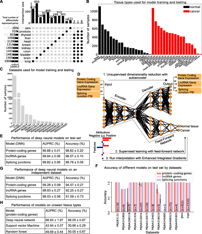 Identifying common transcriptome signatures of cancer by interpreting deep  learning models, Genome Biology