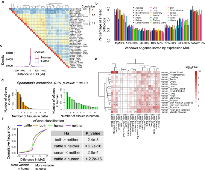 The GTEx Consortium atlas of genetic regulatory effects across human  tissues