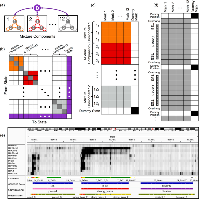 fine structure of gene assignment figure 1