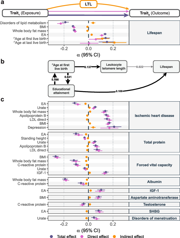 directional hypothesis meaning in research figure 4