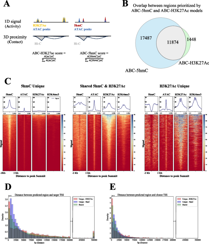 hypothesis template biology figure 3