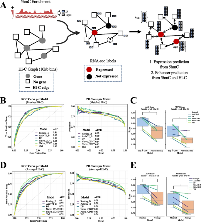 hypothesis template biology figure 4
