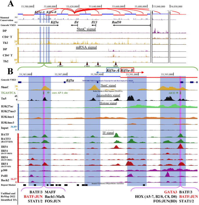 hypothesis template biology figure 6