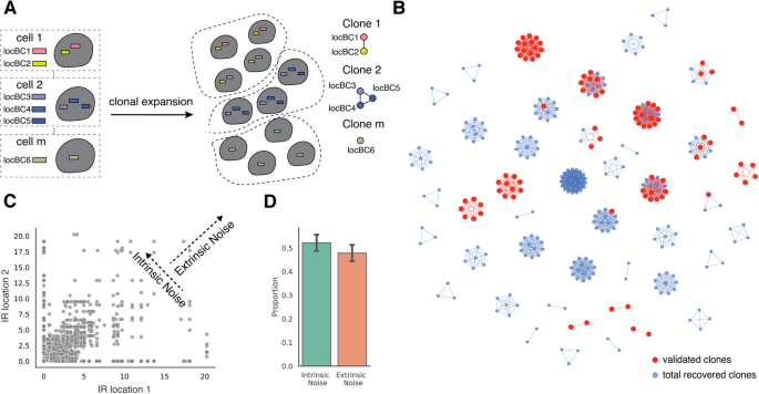 hypothesis vs prediction biology figure 4