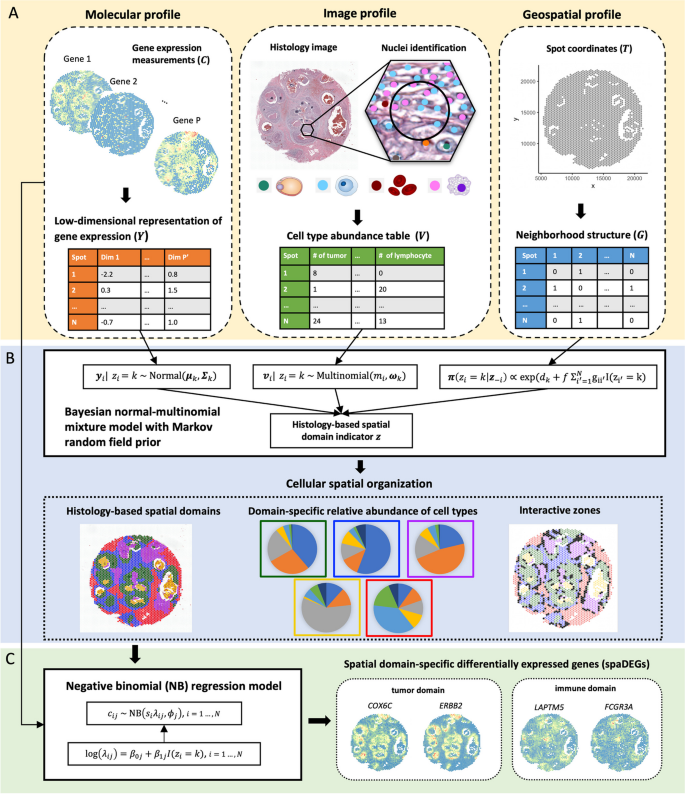 methods of analysis in case study figure 1