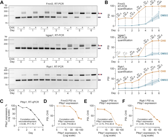 experimental control biology figure 4