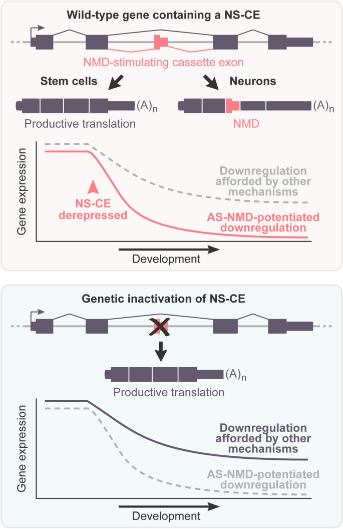 experimental control biology figure 6