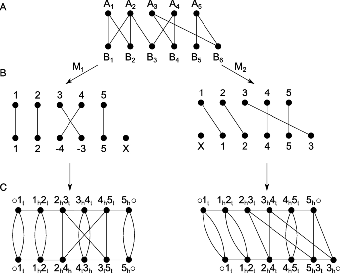 what is annotate genome figure 5