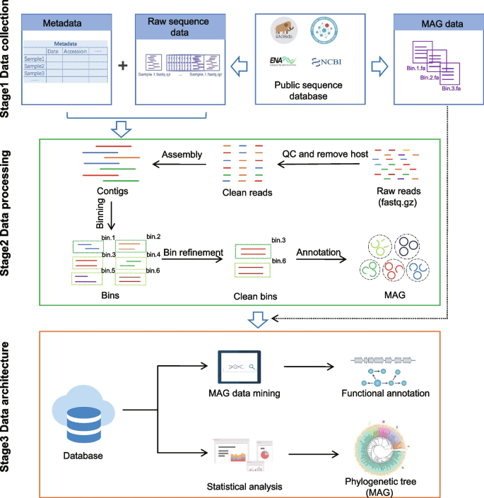 MAGdb: a comprehensive high quality MAGs repository for exploring ...