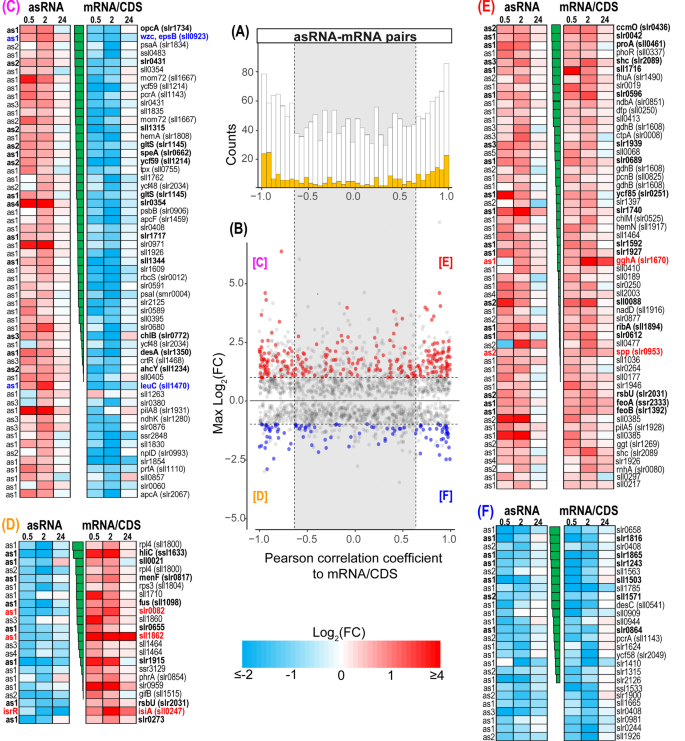 Spatial Proteome Reorganization of a Photosynthetic Model Cyanobacterium in  Response to Abiotic Stresses