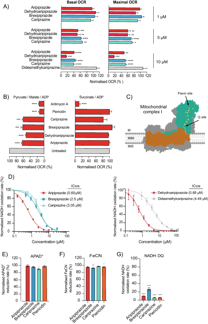 Brexpiprazole for schizophrenia and as adjunct for major depressive  disorder