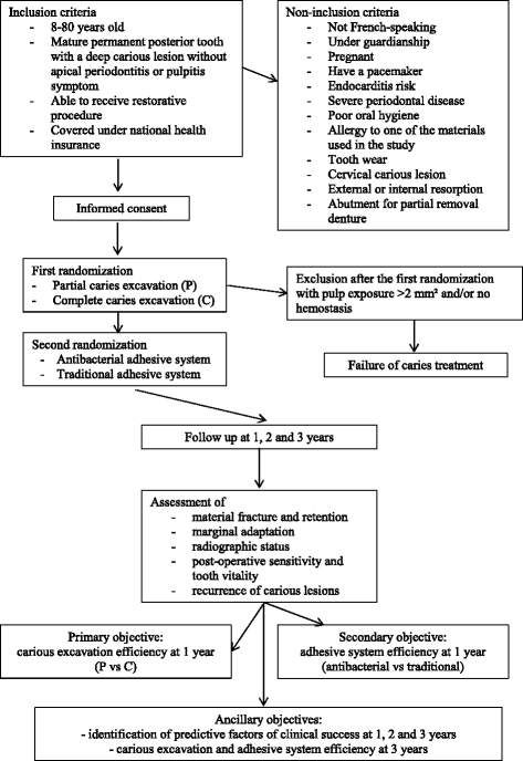 One-step partial or complete caries removal and bonding with antibacterial  or traditional self-etch adhesives: study protocol for a randomized  controlled trial | Trials | Full Text