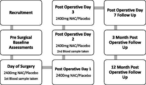 Executive Function Not Panacea For >> The Post Anaesthesia N Acetylcysteine Cognitive Evaluation Panacea Executive Function Not Panacea For >> The Post Anaesthesia N Acetylcysteine Cognitive Evaluation Panacea
