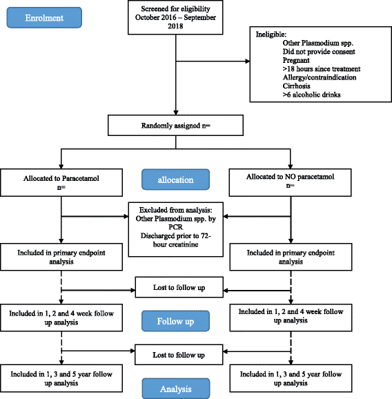 The effect of regularly dosed paracetamol versus no paracetamol on 