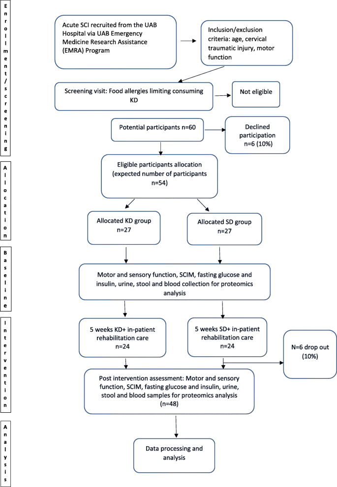 ketogenic diet and spinal cord injury