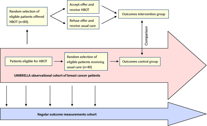 Assessing The Effect Of Hyperbaric Oxygen Therapy In Breast Cancer Patients  With Late Radiation Toxicity (Honey Trial): A Trial Protocol Using A Trial  Within A Cohort Design | Trials | Full Text