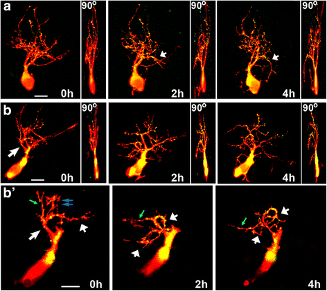 figure 12