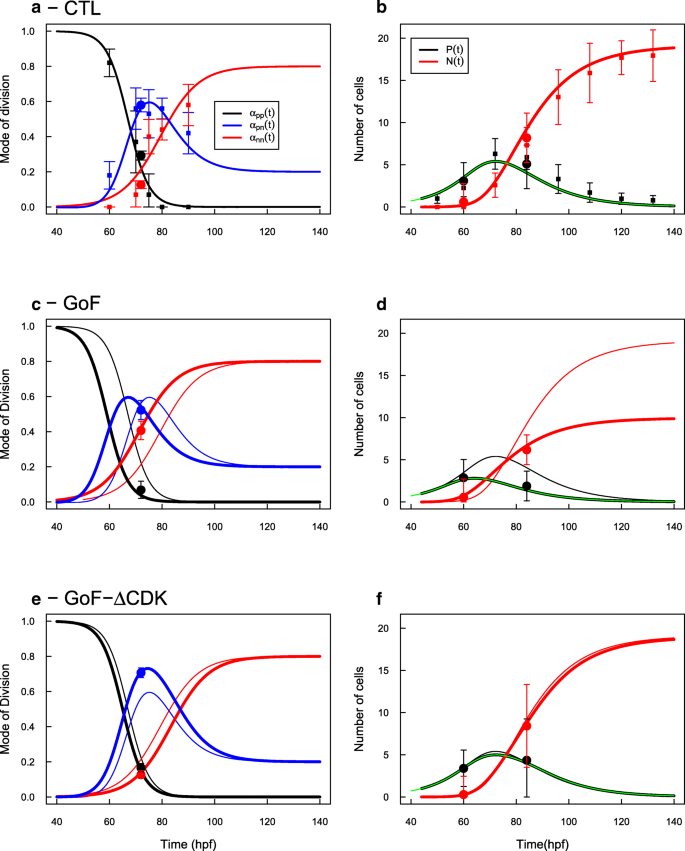 Timing The Spinal Cord Development With Neural Progenitor Cells Losing Their Proliferative Capacity A Theoretical Analysis Neural Development Full Text