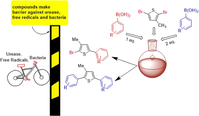 Palladium(0) catalyzed Suzuki cross-coupling reaction of  2,5-dibromo-3-methylthiophene: selectivity, characterization, DFT studies  and their biological evaluations | SpringerLink