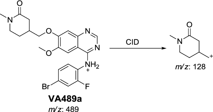 scheme 4