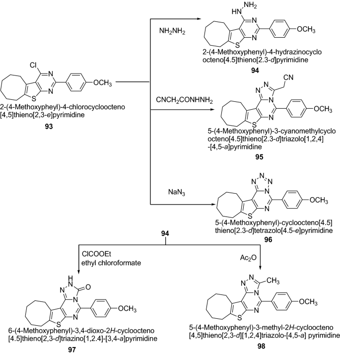 scheme 19