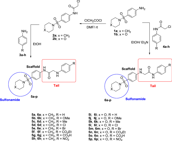 Design, synthesis, and biological evaluation of novel N4-substituted  sulfonamides: acetamides derivatives as dihydrofolate reductase (DHFR)  inhibitors | BMC Chemistry | Full Text