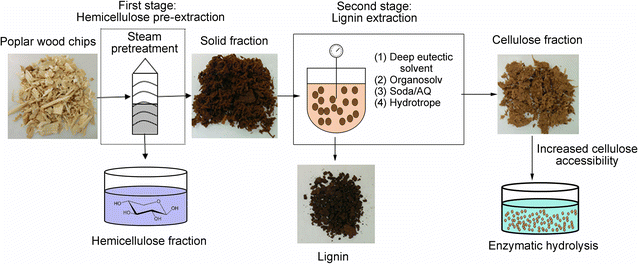 A Comparison Of Various Lignin Extraction Methods To Enhance The