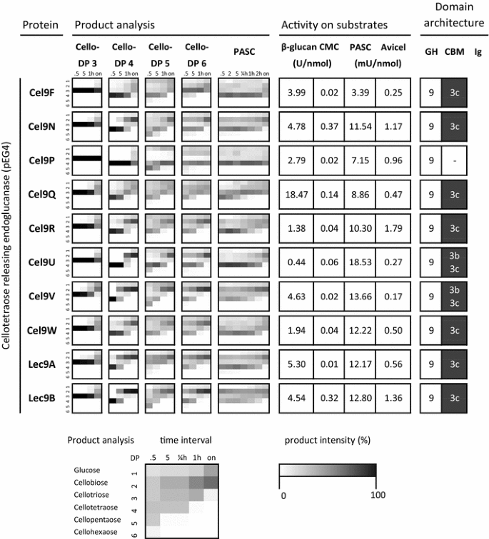 Comparative Characterization Of All Cellulosomal Cellulases From Clostridium Thermocellum Reveals High Diversity In Endoglucanase Product Formation Essential For Complex Activity Biotechnology For Biofuels Full Text