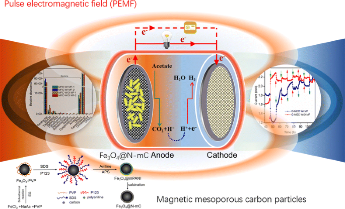 Pulse electromagnetic fields enhance extracellular electron transfer magnetic bioelectrochemical systems | Biotechnology for Biofuels and Bioproducts | Full