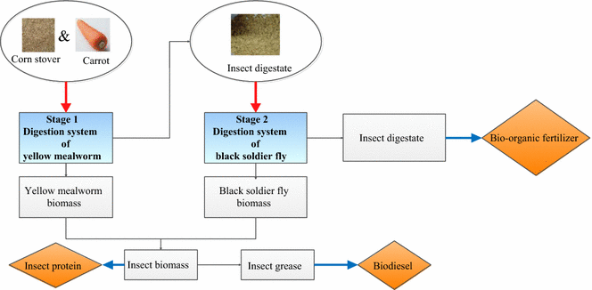 Biodiesel Titration Chart