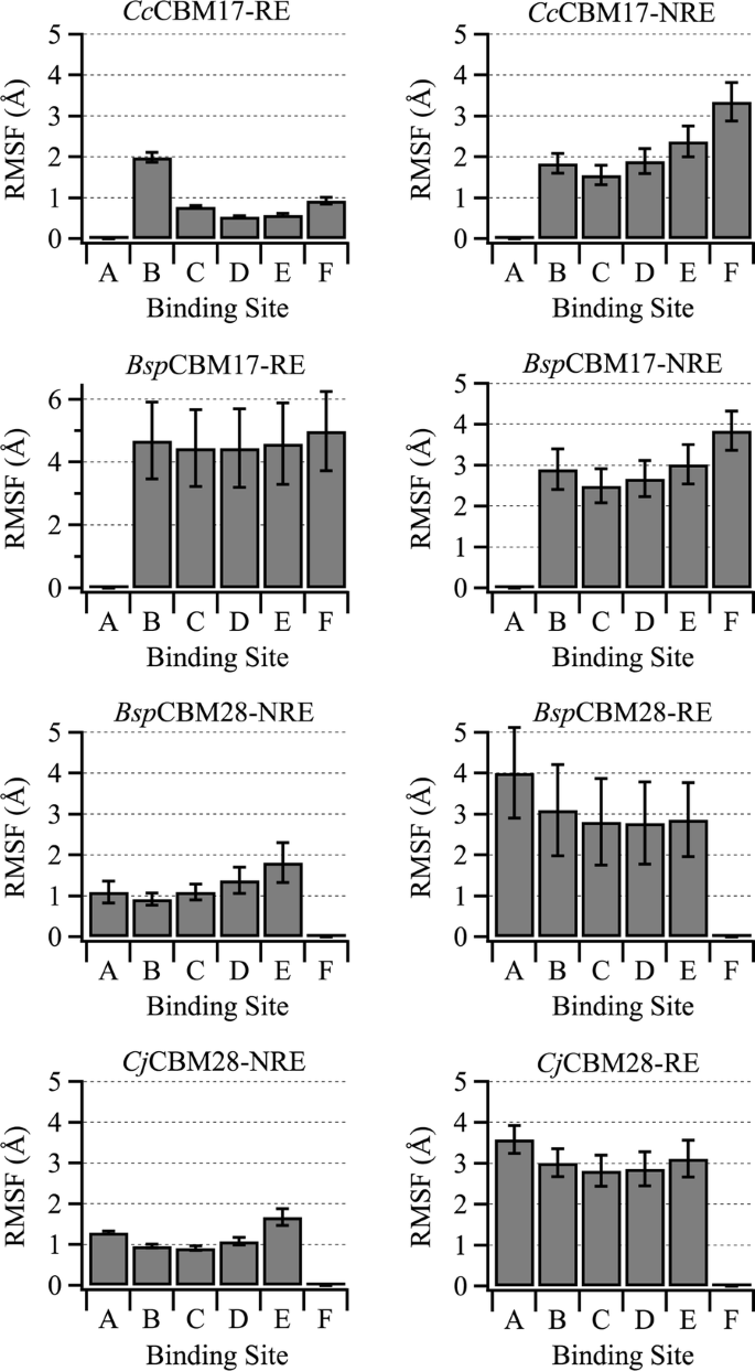 Cellulose Specific Type B Carbohydrate Binding Modules Understanding Oligomeric And Non Crystalline Substrate Recognition Mechanisms Biotechnology For Biofuels Full Text