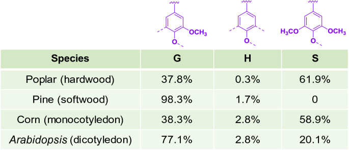 Recent Advances In Lignin Valorization With Bacterial Cultures Microorganisms Metabolic Pathways And Bio Products Biotechnology For Biofuels Full Text