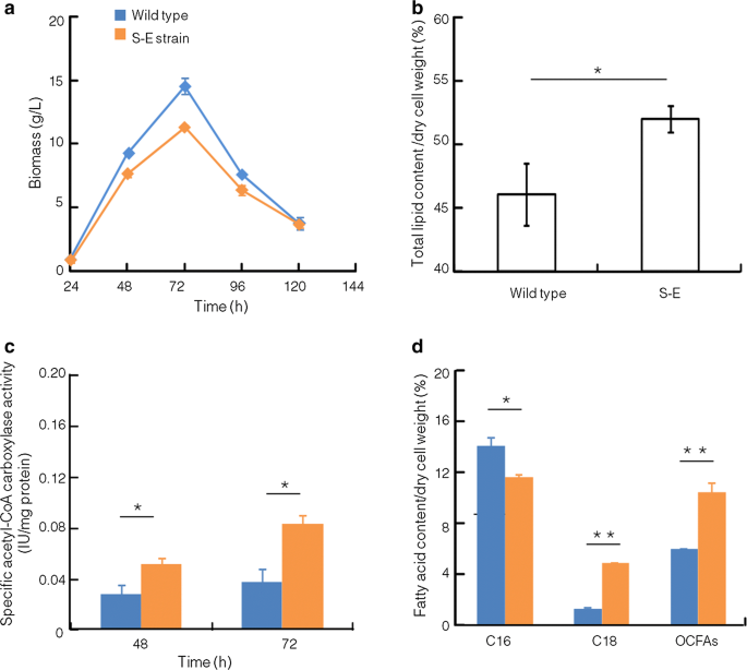 Metabolic Engineering To Enhance Biosynthesis Of Both Docosahexaenoic Acid And Odd Chain Fatty Acids In Schizochytrium Sp S31 Biotechnology For Biofuels Full Text
