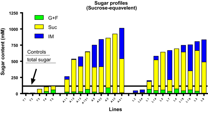 Stem Vacuole Targetted Sucrose Isomerase Enhances Sugar Content In Sorghum Springerlink