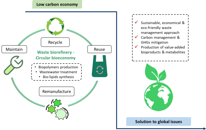 Waste Biorefinery Towards A Sustainable Circular Bioeconomy A Solution To Global Issues Biotechnology For Biofuels And Bioproducts Full Text