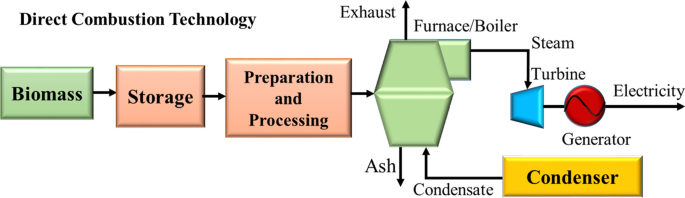 biomass essay figure 13