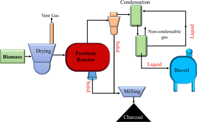 biomass essay figure 14