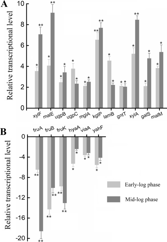 Identification of levoglucosan degradation pathways in bacteria and  sequence similarity network analysis